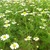 Images[9].small